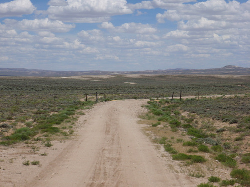 Cattle Guard (Grid).